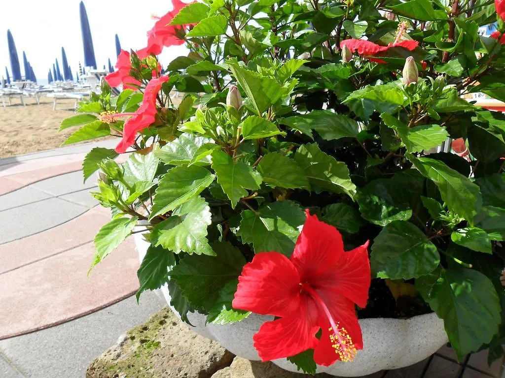 Hotel Telenia Lido di Jesolo 3*,